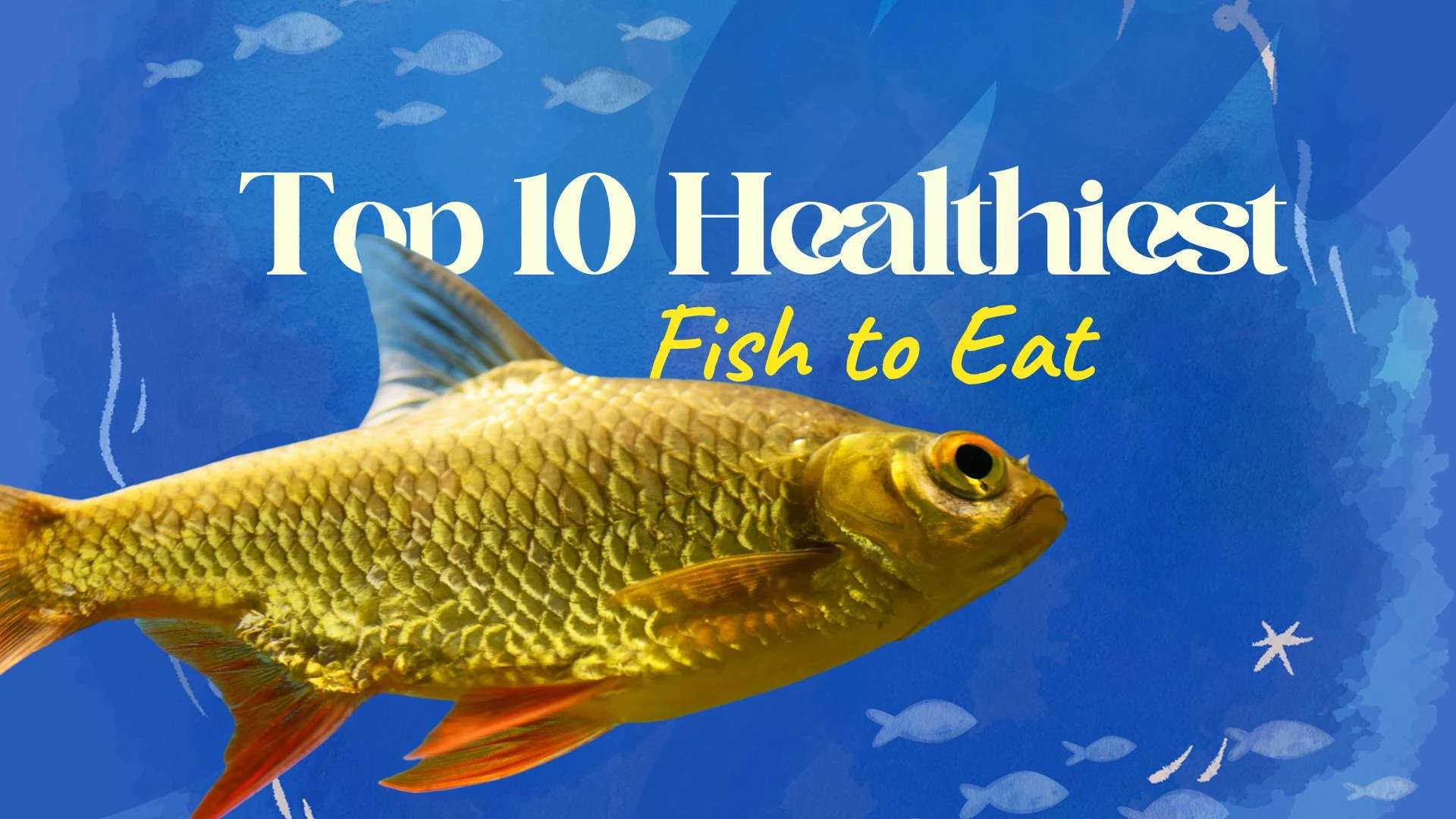 Top 10 Healthiest Fish to Eat